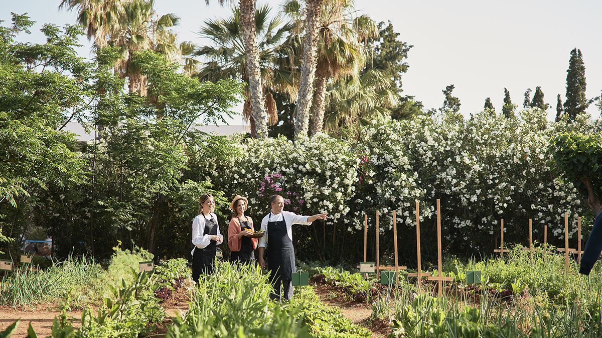 Phaea Cretan Malia Park